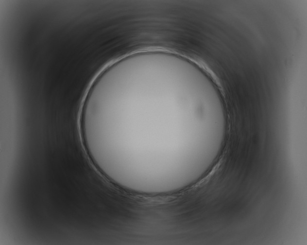 X0000099581181200805160740