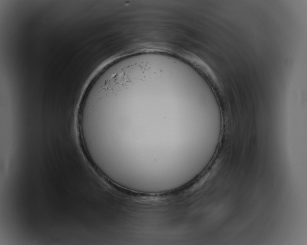 X0000099581182200805160740