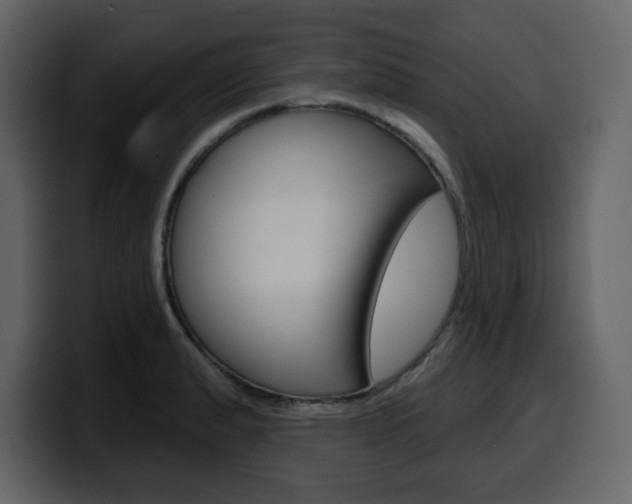 X0000099581183200805160740