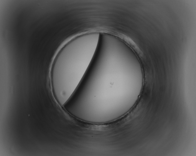 X0000099581184200805160740