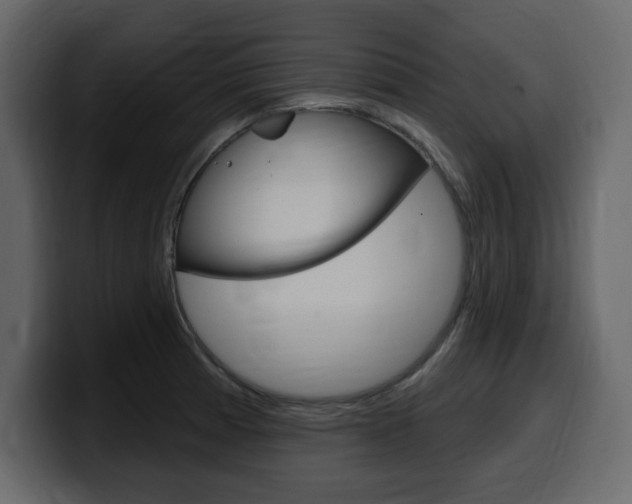 X0000099581185200805160740