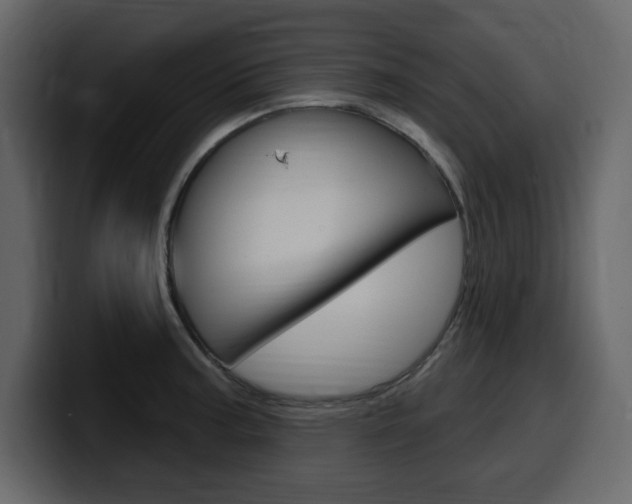X0000099581187200805160740