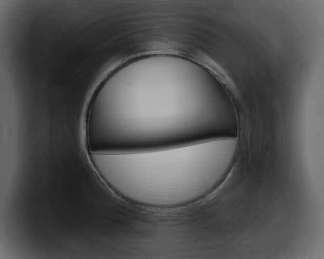 X0000099581188200805160740