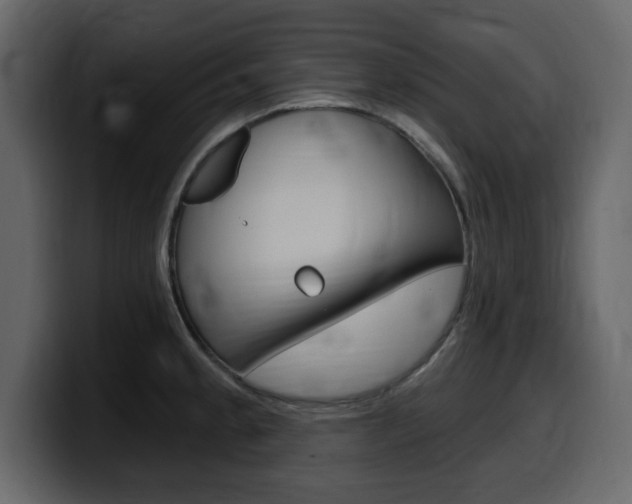 X0000099581189200805160740