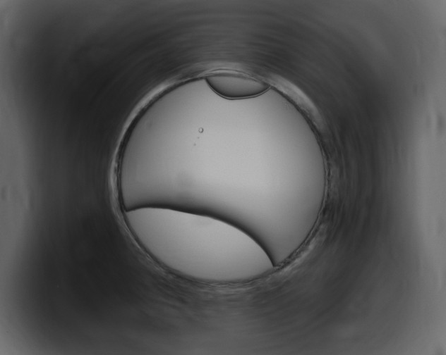 X0000099581190200805160740