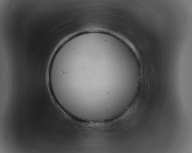 X0000099581191200805160740