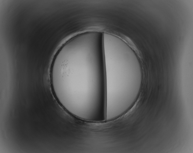 X0000099581192200805160740