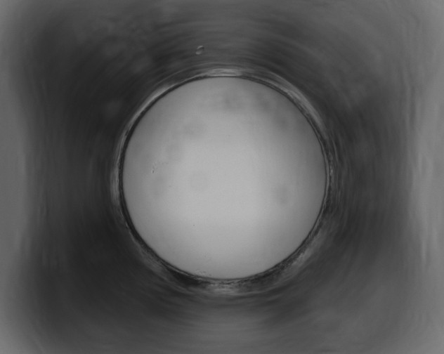 X0000099581194200805160739