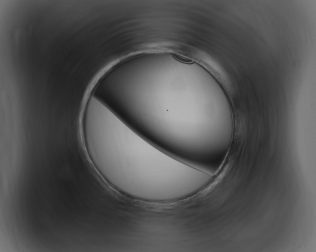 X0000099581196200805160739