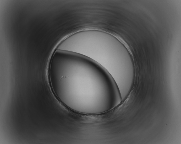 X0000099581197200805160739
