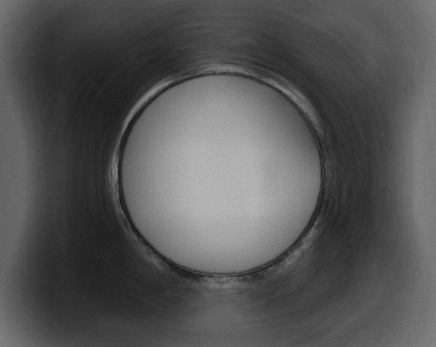 X0000099581198200805160739