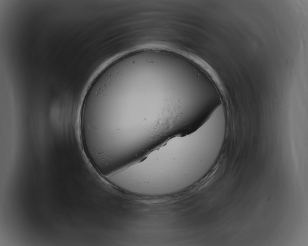 X0000099581199200805160739