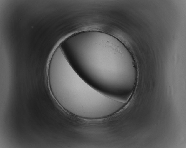 X0000099581200200805160739
