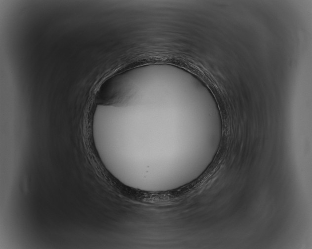 X0000099581201200805160739