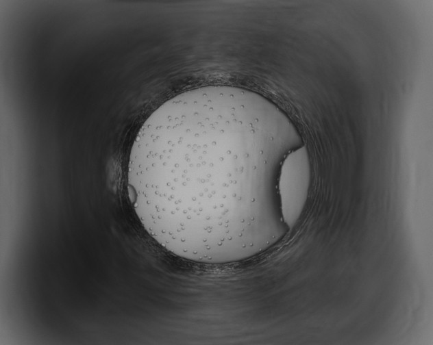 X0000099581203200805160739