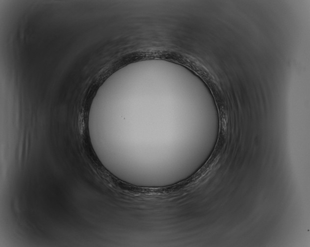 X0000099581204200805160739