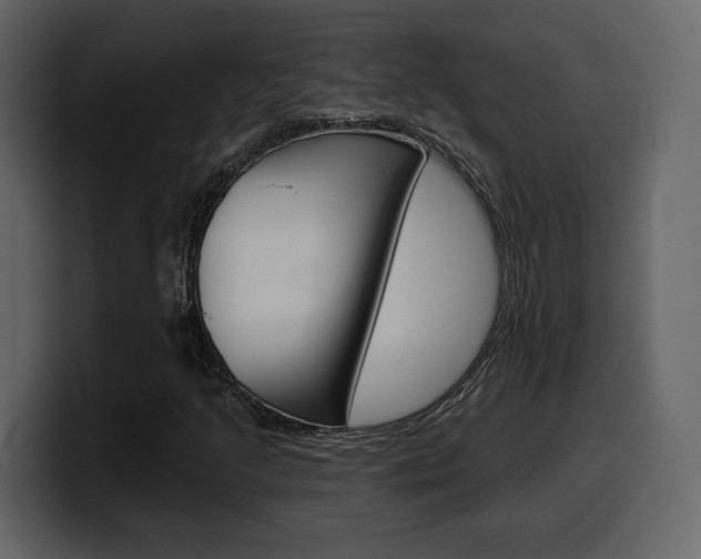 X0000099581205200805160739