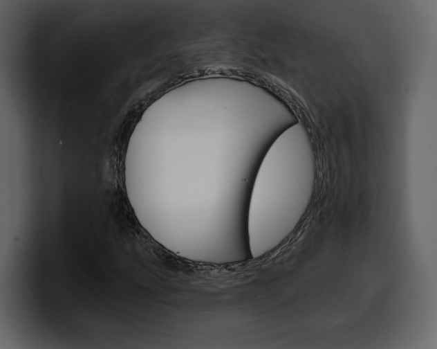 X0000099581207200805160739