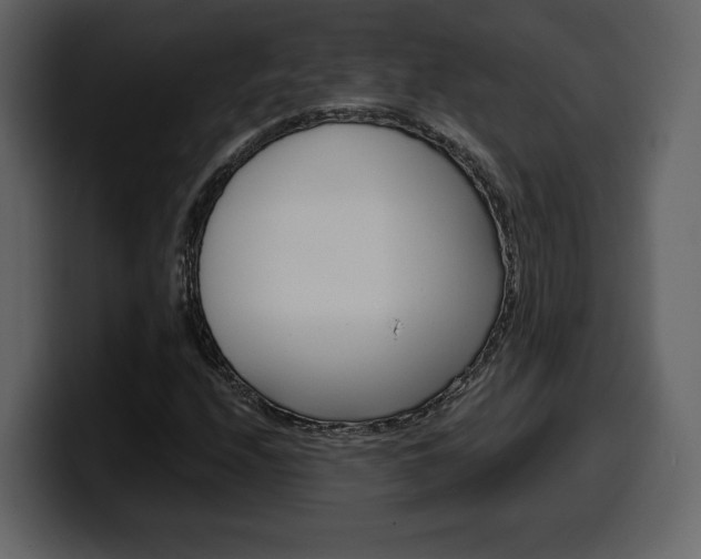 X0000099581208200805160739