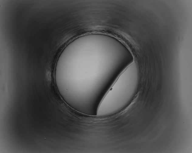 X0000099581209200805160739