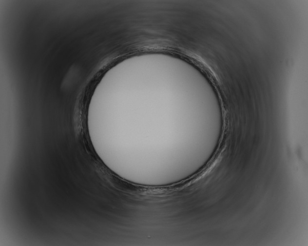 X0000099581211200805160739