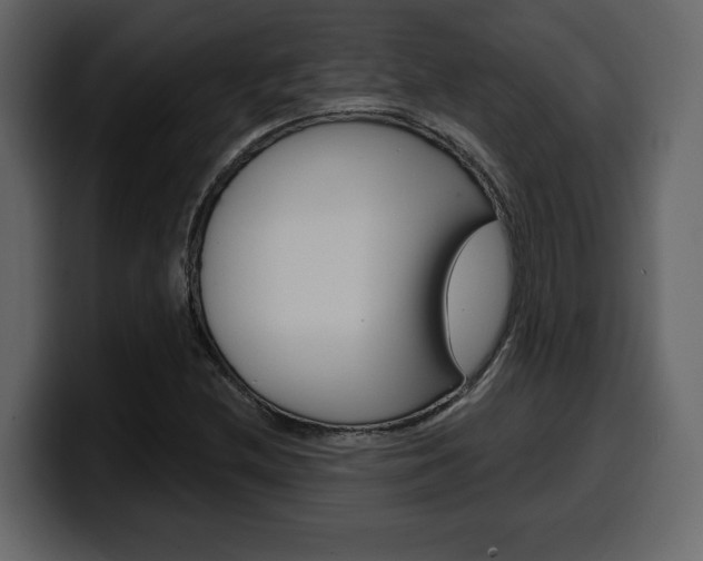 X0000099581212200805160739