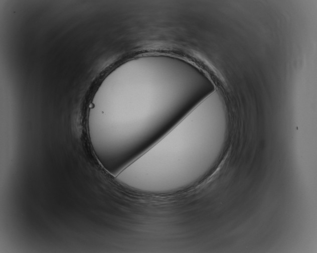 X0000099581213200805160739