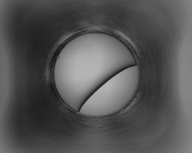 X0000099581215200805160739