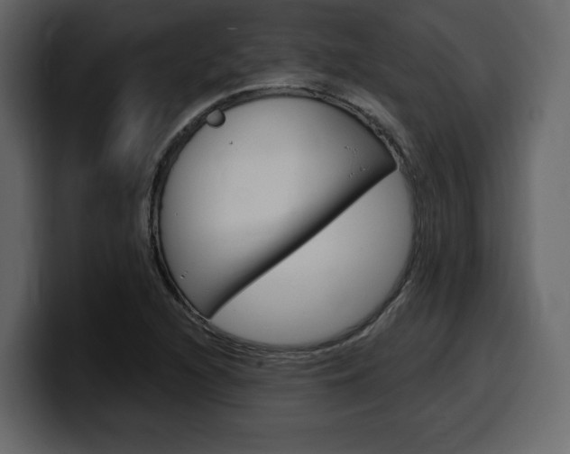 X0000099581216200805160739