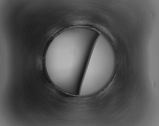 X0000099581217200805160739