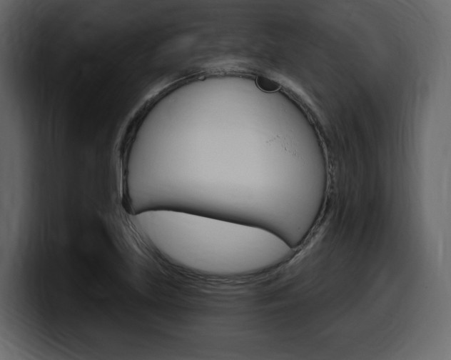 X0000099581219200805160739