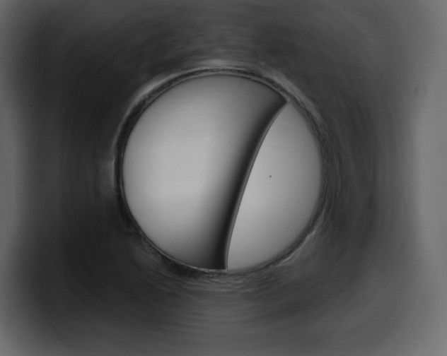 X0000099581222200805160739