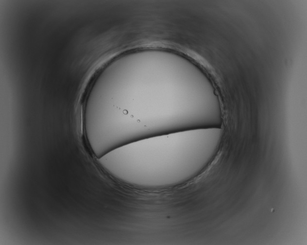 X0000099581223200805160739