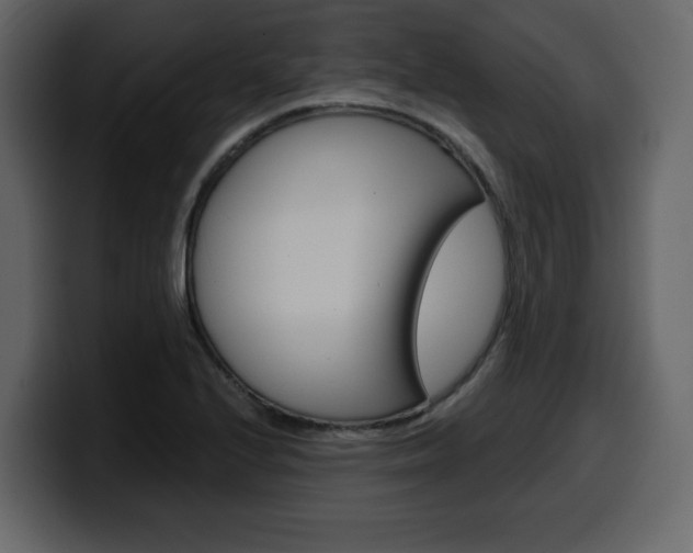 X0000099581224200805160739