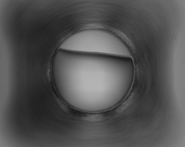 X0000099581225200805160739
