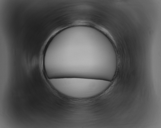 X0000099581227200805160739
