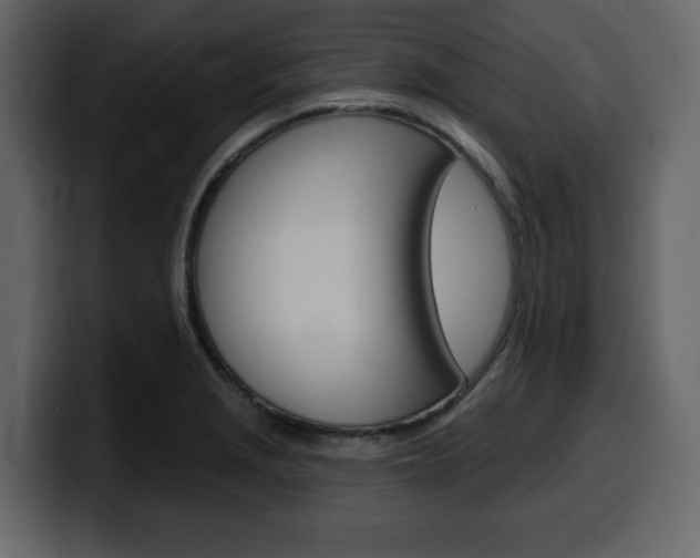 X0000099581229200805160739