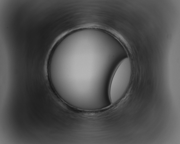 X0000099581230200805160739