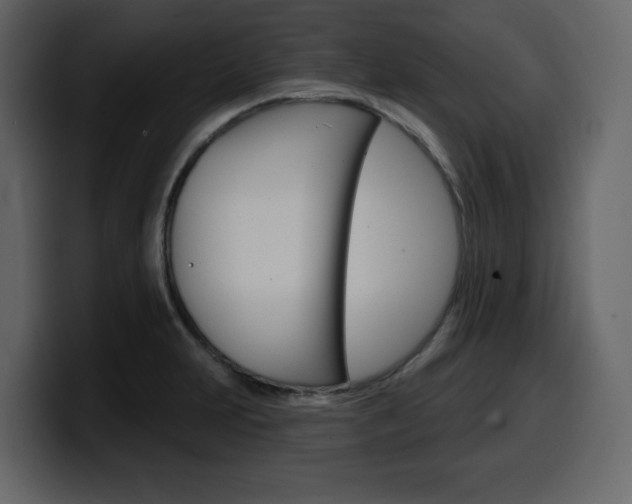 X0000099581231200805160739