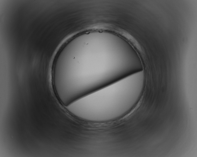 X0000099581232200805160739