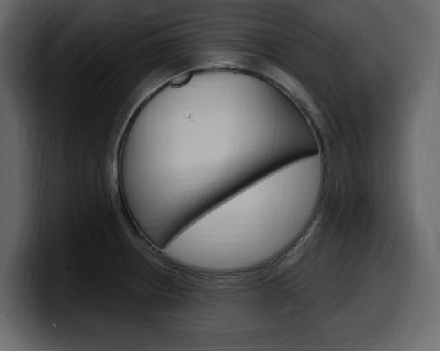 X0000099581234200805160739