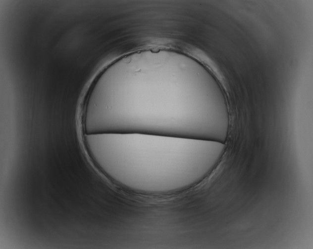 X0000099581235200805160739