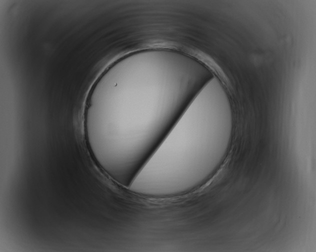 X0000099581236200805160739