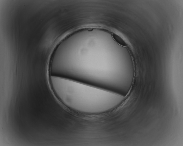 X0000099581237200805160739