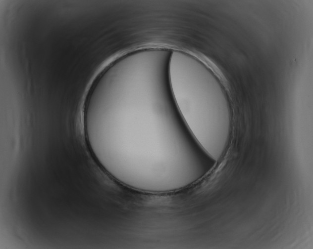 X0000099581238200805160739