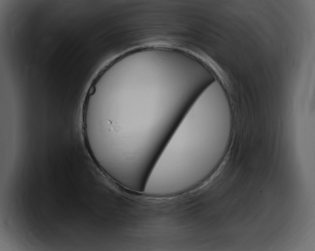X0000099581240200805160739