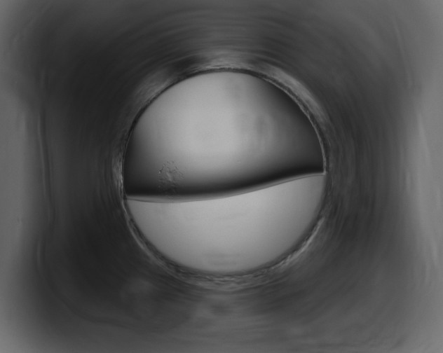 X0000099581241200805160739