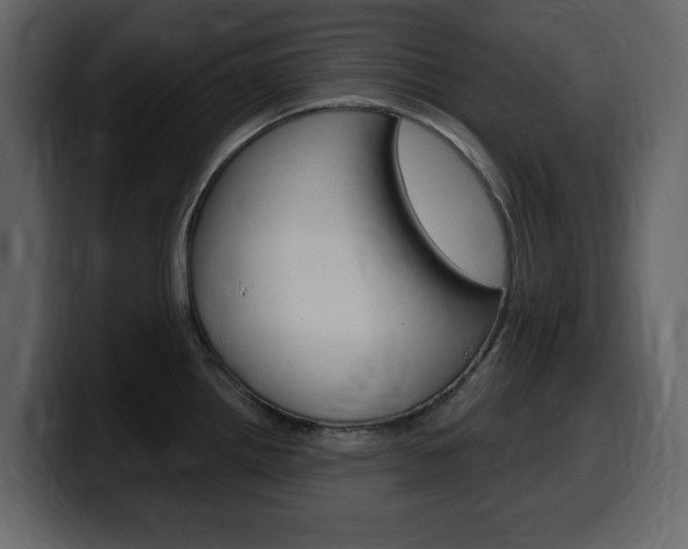 X0000099581242200805160739
