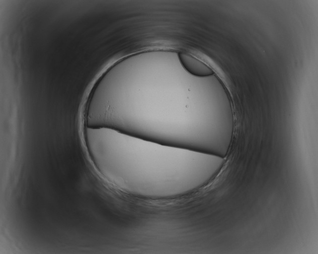 X0000099581243200805160739