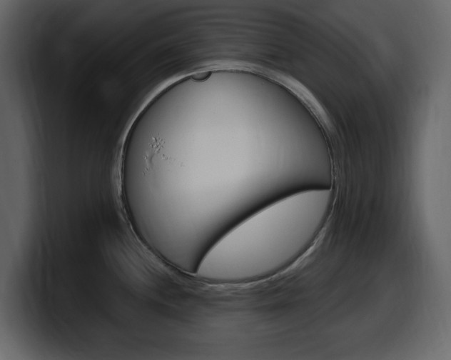 X0000099581244200805160739